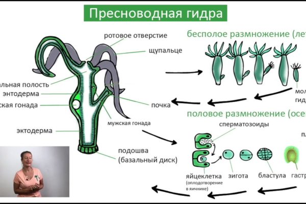 На сайте кракен пропал пользователь