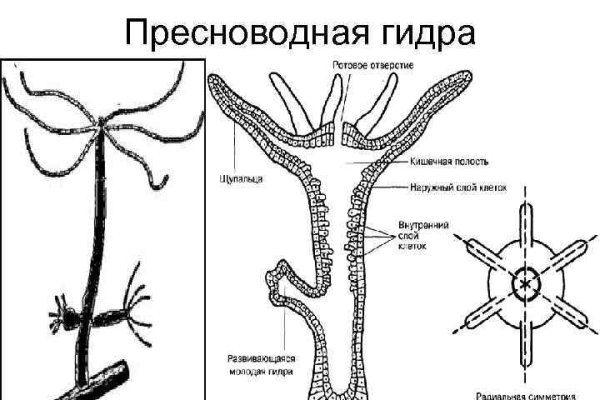 Кракен шоп интернет нарко