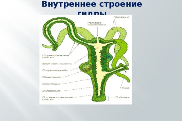 Официальная ссылка на кракен в тор