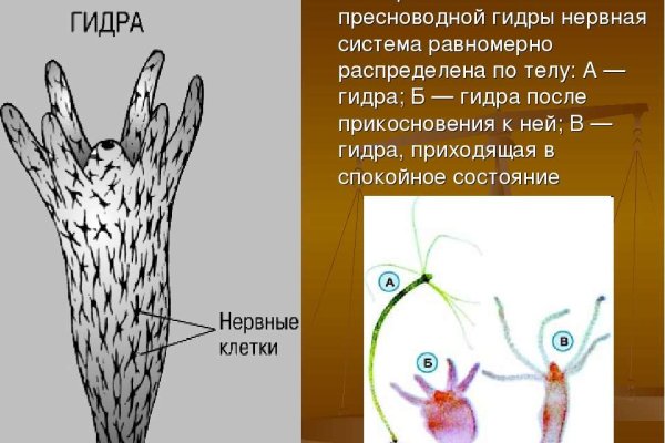 Кракен как попасть